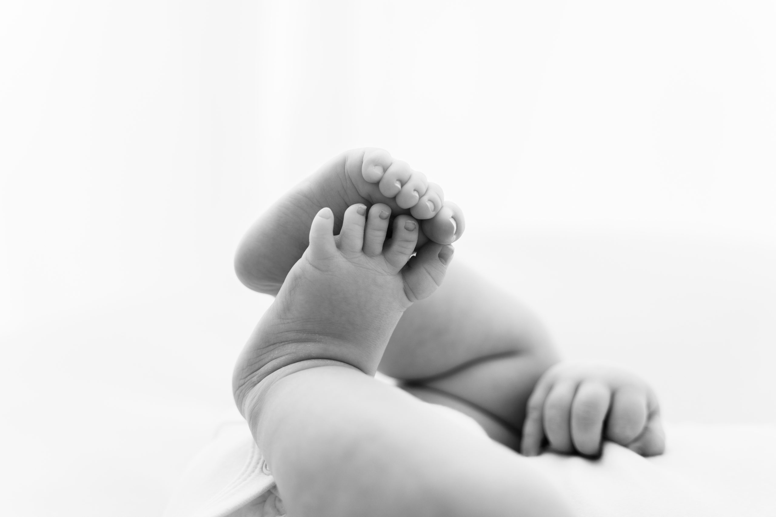 close up of baby toes in baby photoshoot norwich